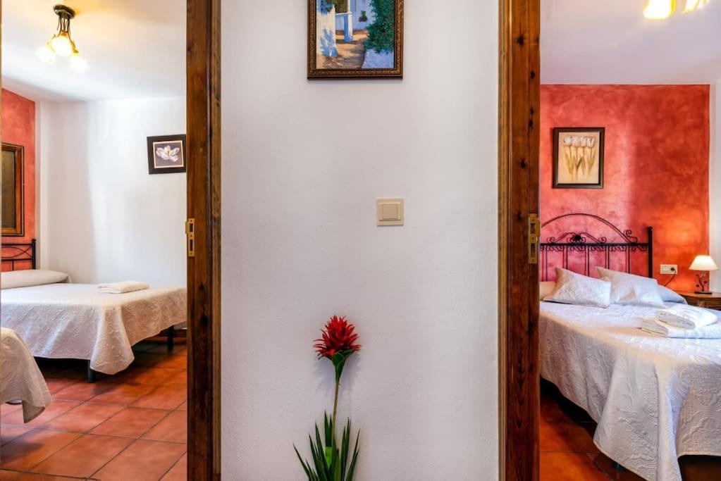 Casa Jose Capileira - Alpujarra公寓 外观 照片